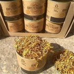 63f3e2baad6613fd6e7b58d0 1000x1000.jpeg